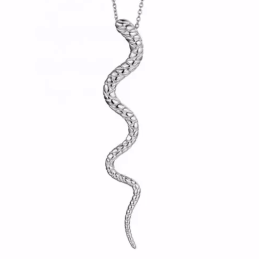 Long Snake Necklace